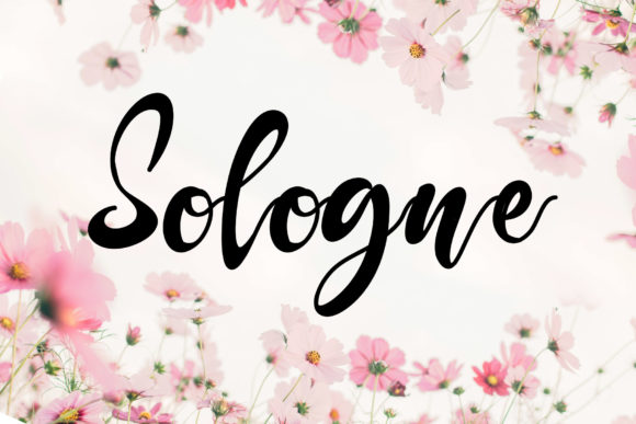 Sologne Font: A Handwritten Typeface for Timeless Branding